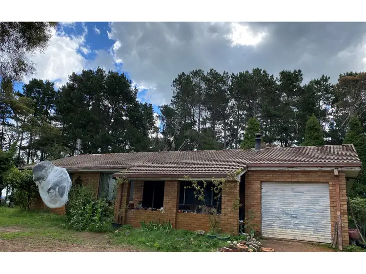 Third view of Homely rural property listing, 423 Lowes Mount Road, Oberon NSW 2787