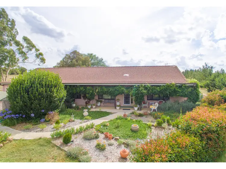 1385 Kingsvale Road, Young NSW 2594