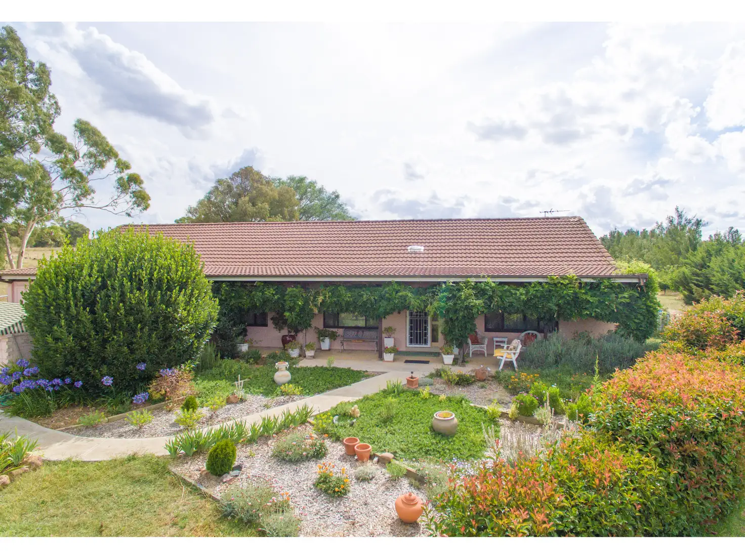 Main view of Homely house listing, 1385 Kingsvale Road, Young NSW 2594
