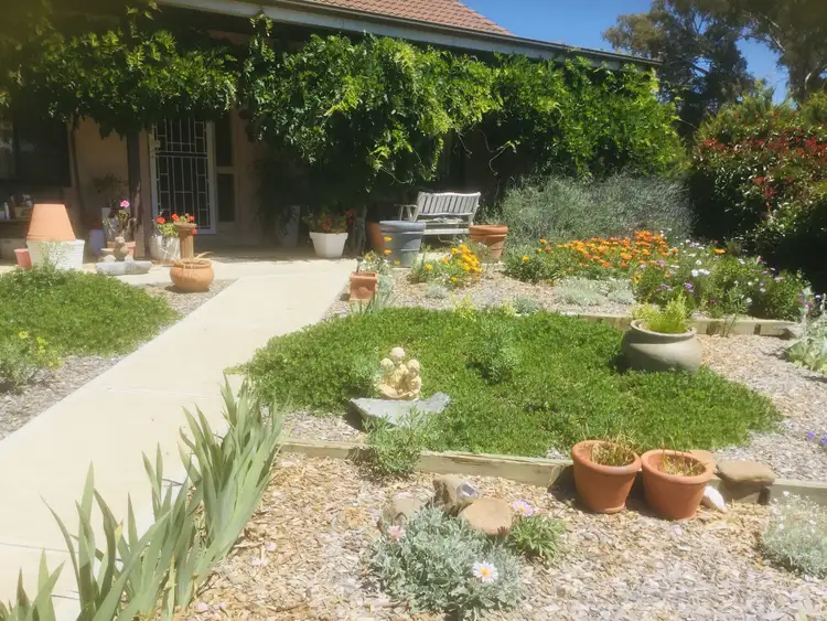 Third view of Homely house listing, 1385 Kingsvale Road, Young NSW 2594
