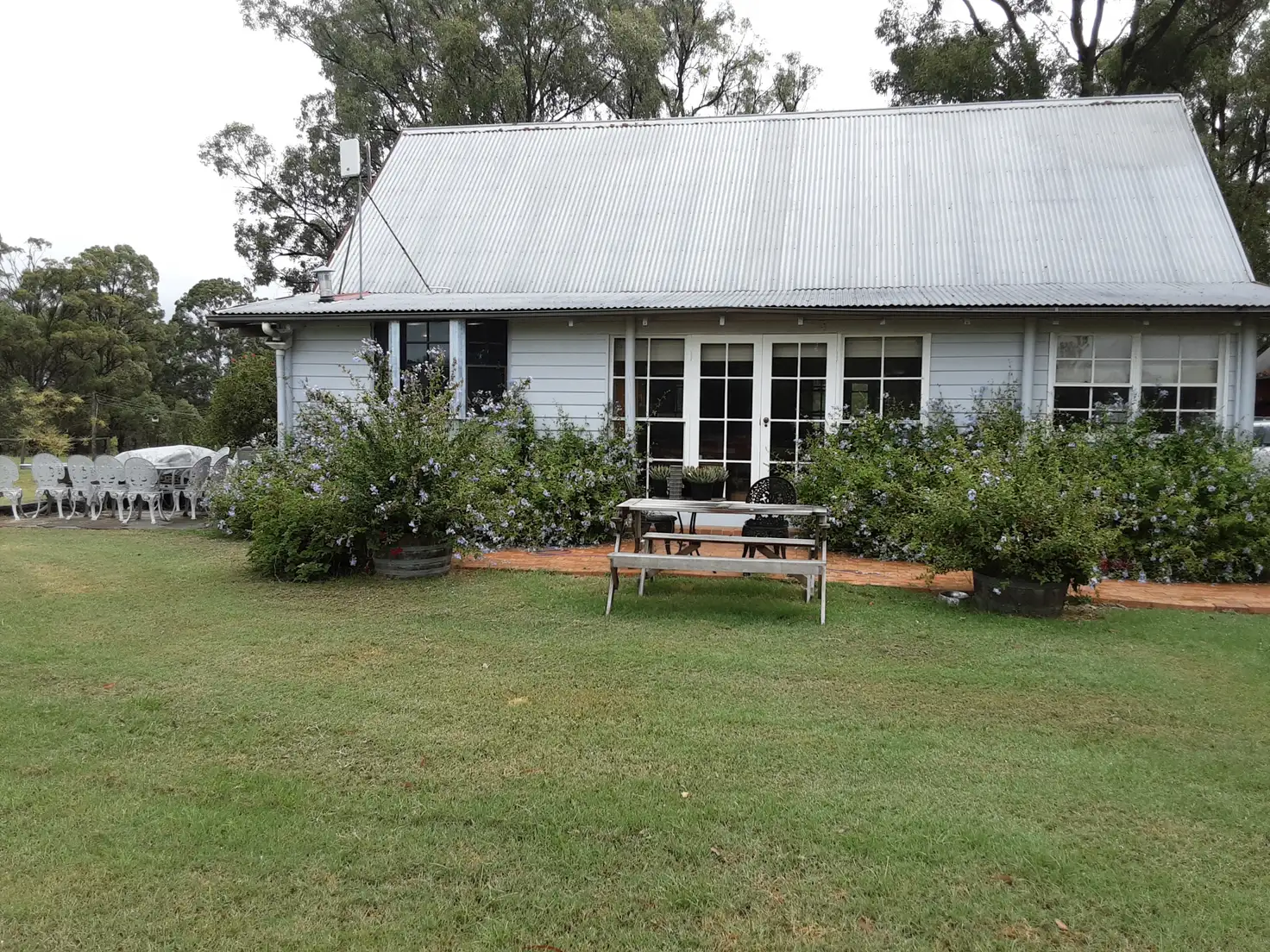 Main view of Homely rural property listing, 333 Palmers Lane, Pokolbin NSW 2320