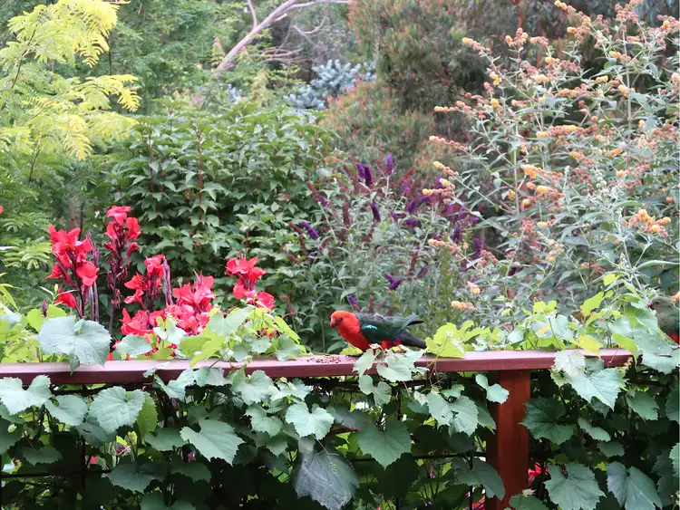 Sixth view of Homely rural property listing, 12 Crombie Road, Macedon VIC 3440