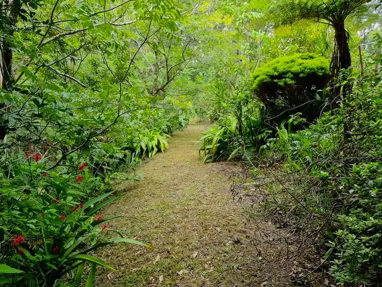 Seventh view of Homely rural property listing, Lot 1304 Upper Main Arm Road, Mullumbimby NSW 2482