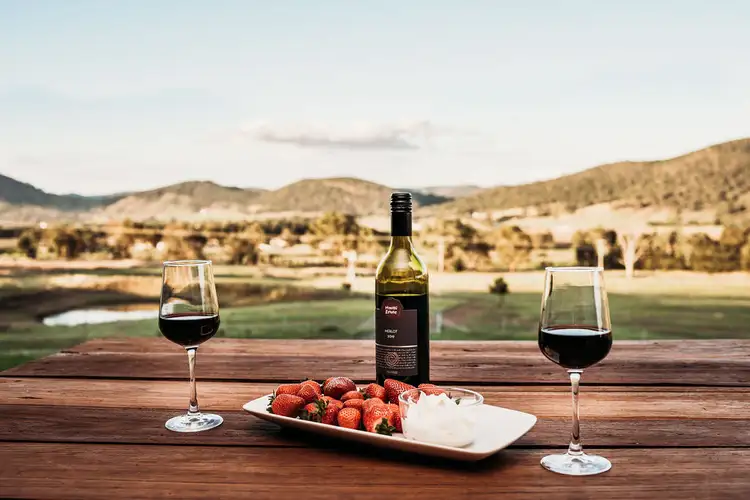Fourth view of Homely rural property listing, 748 Castlereagh Highway, Mudgee NSW 2850