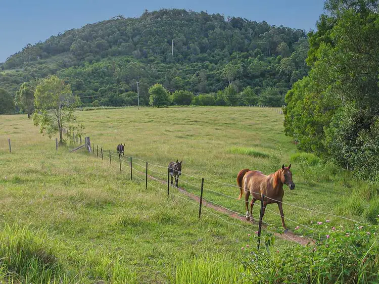 Main view of Homely land listing, 147 Millers Road, Bobin NSW 2429