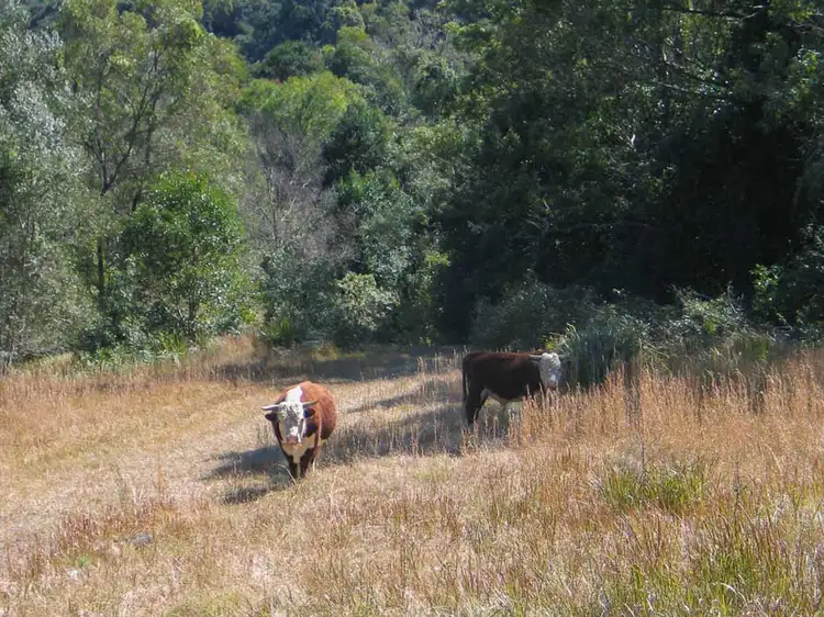 Sixth view of Homely land listing, 147 Millers Road, Bobin NSW 2429