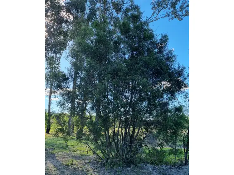 Sixth view of Homely land listing, 130 Pindari Drive, Thagoona QLD 4306