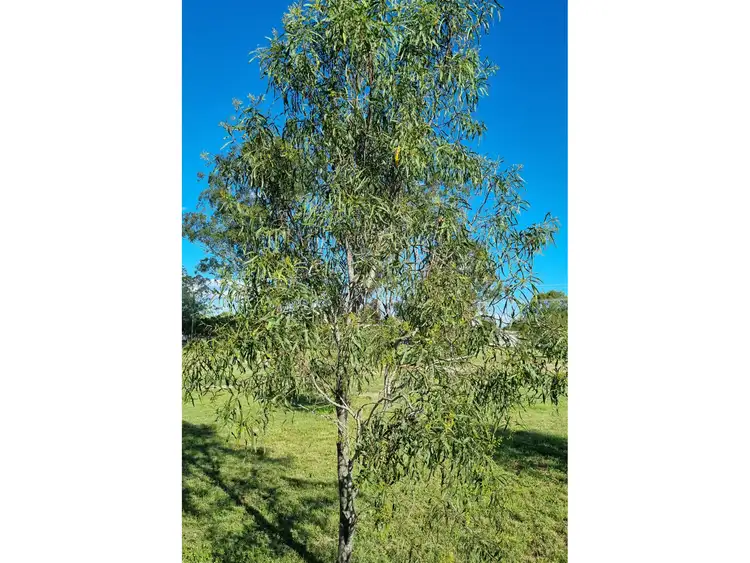 Seventh view of Homely land listing, 130 Pindari Drive, Thagoona QLD 4306