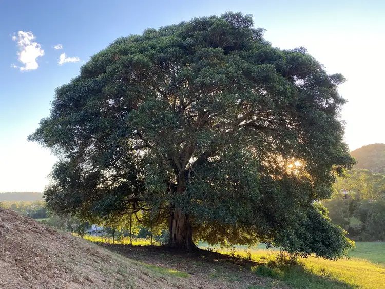 Seventh view of Homely land listing, 30 Highfield Drive, Chatsworth QLD 4570