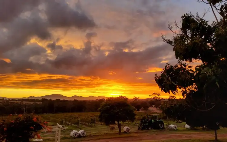 Fourth view of Homely rural property listing, 2875 Red Gum Pass Road, Kendenup WA 6323