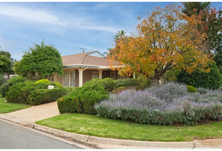 Main view of Homely house listing, 8 Willow Drive, Paradise SA 5075