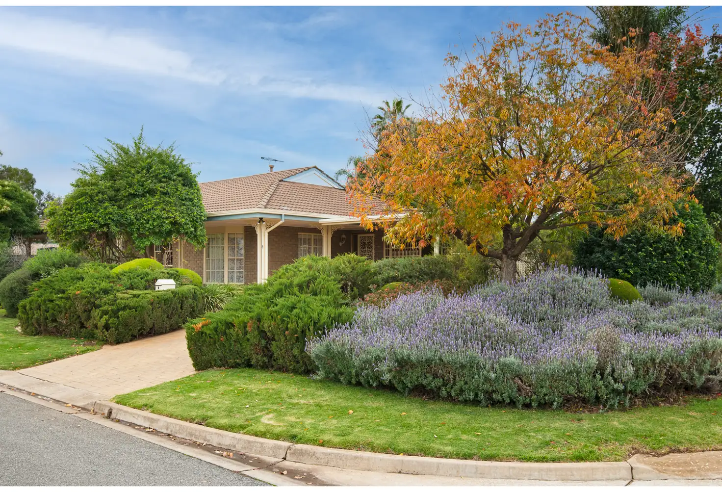 Main view of Homely house listing, 8 Willow Drive, Paradise SA 5075