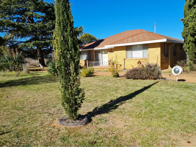 278 Olympic Highway, Young NSW 2594