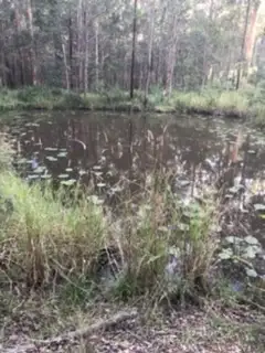 Sixth view of Homely rural property listing, Address available on request