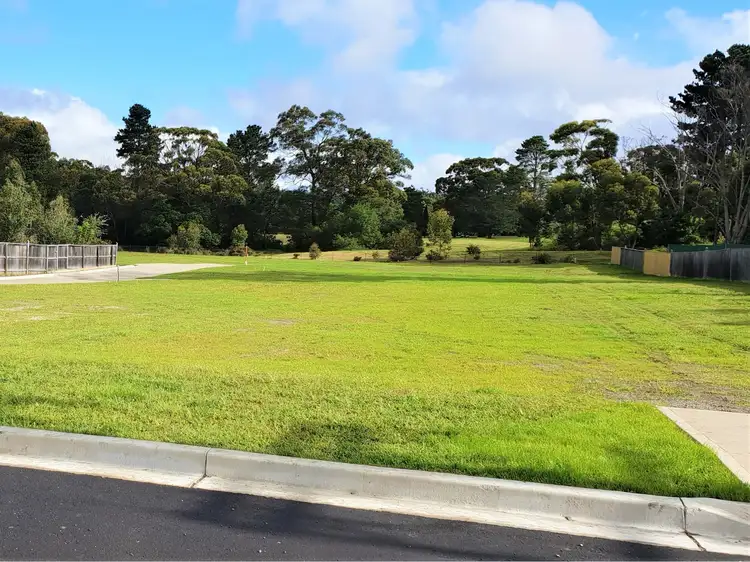 Main view of Homely land listing, 31 Willow Street, Willow Vale NSW 2575