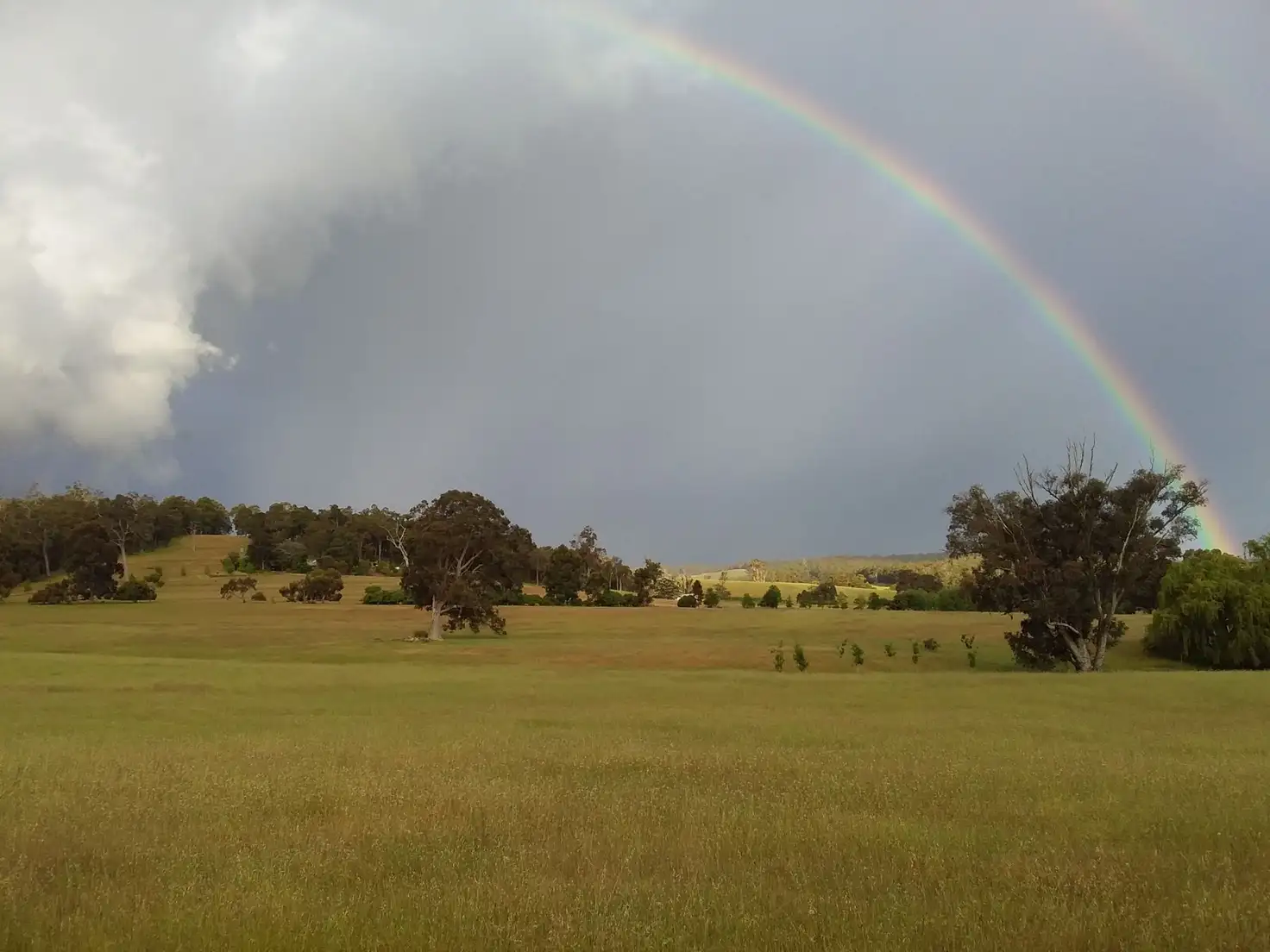 Main view of Homely rural property listing, 1913 Preston-Collie Road, Mumballup WA 6225