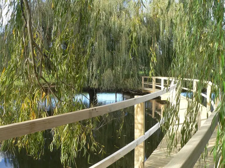 Fifth view of Homely rural property listing, 1913 Preston-Collie Road, Mumballup WA 6225