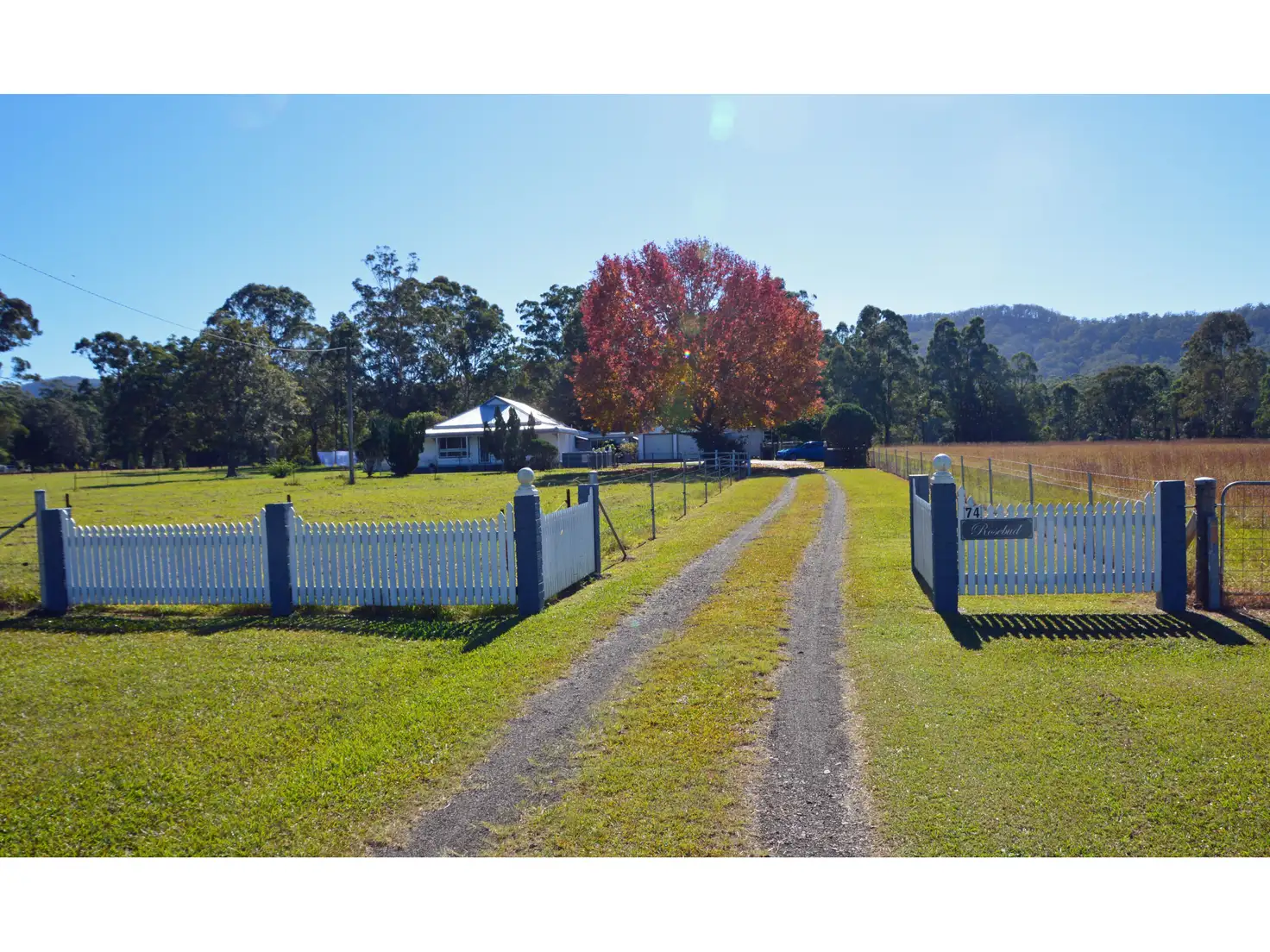 Main view of Homely rural property listing, 74 Central Lansdowne Road, Lansdowne NSW 2430