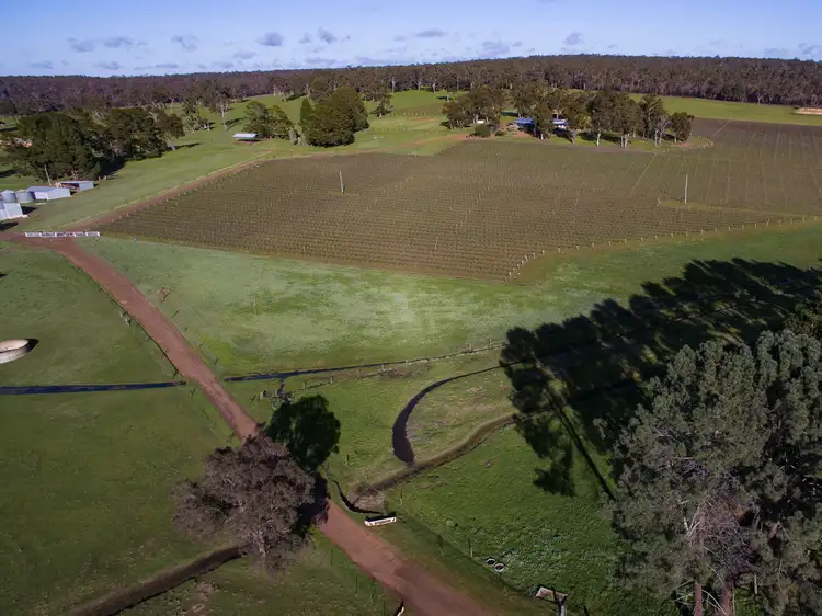 Fourth view of Homely rural property listing, 2414 Boyup Brook-Cranbrook Road, Boyup Brook WA 6244