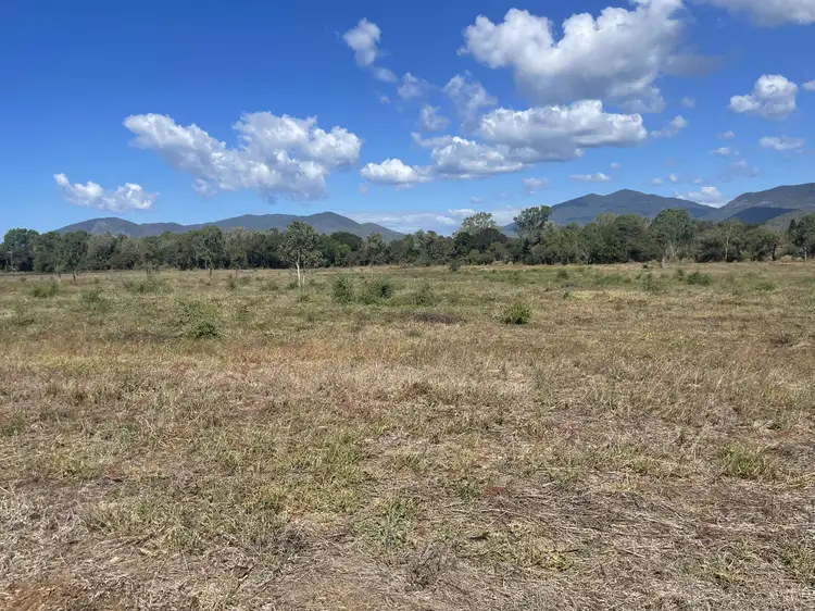Second view of Homely land listing, 101 Bentley Drive, Nome QLD 4816