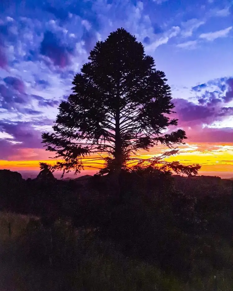 Lot 25 Firefly Drive, Bunya Mountains QLD 4405