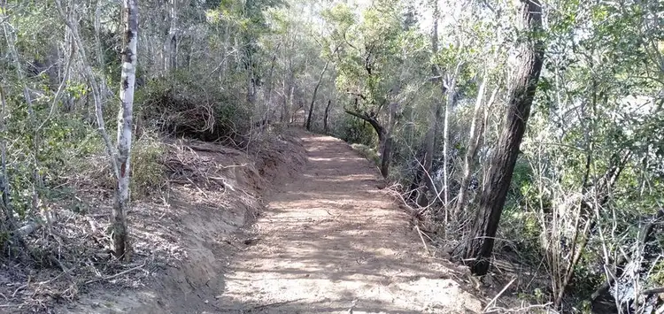 Fourth view of Homely rural property listing, 447 Burrum Heads Road, Burrum River QLD 4659