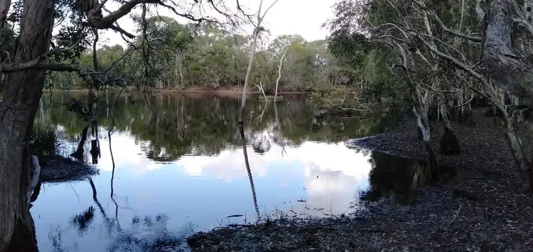 Fifth view of Homely rural property listing, 447 Burrum Heads Road, Burrum River QLD 4659