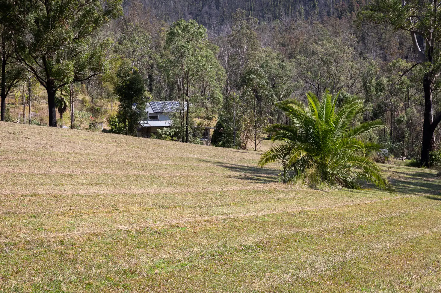 Main view of Homely rural property listing, 161 Bobin Creek Road, Bobin NSW 2429