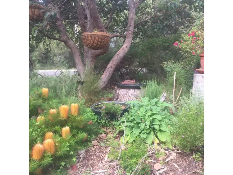 Second view of Homely house listing, 6 Jarrah Road, Walpole WA 6398