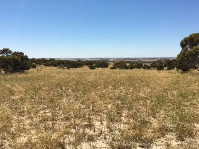 Third view of Homely land listing, 1-7/1609 Chaunceys Line road, Brinkley SA 5253