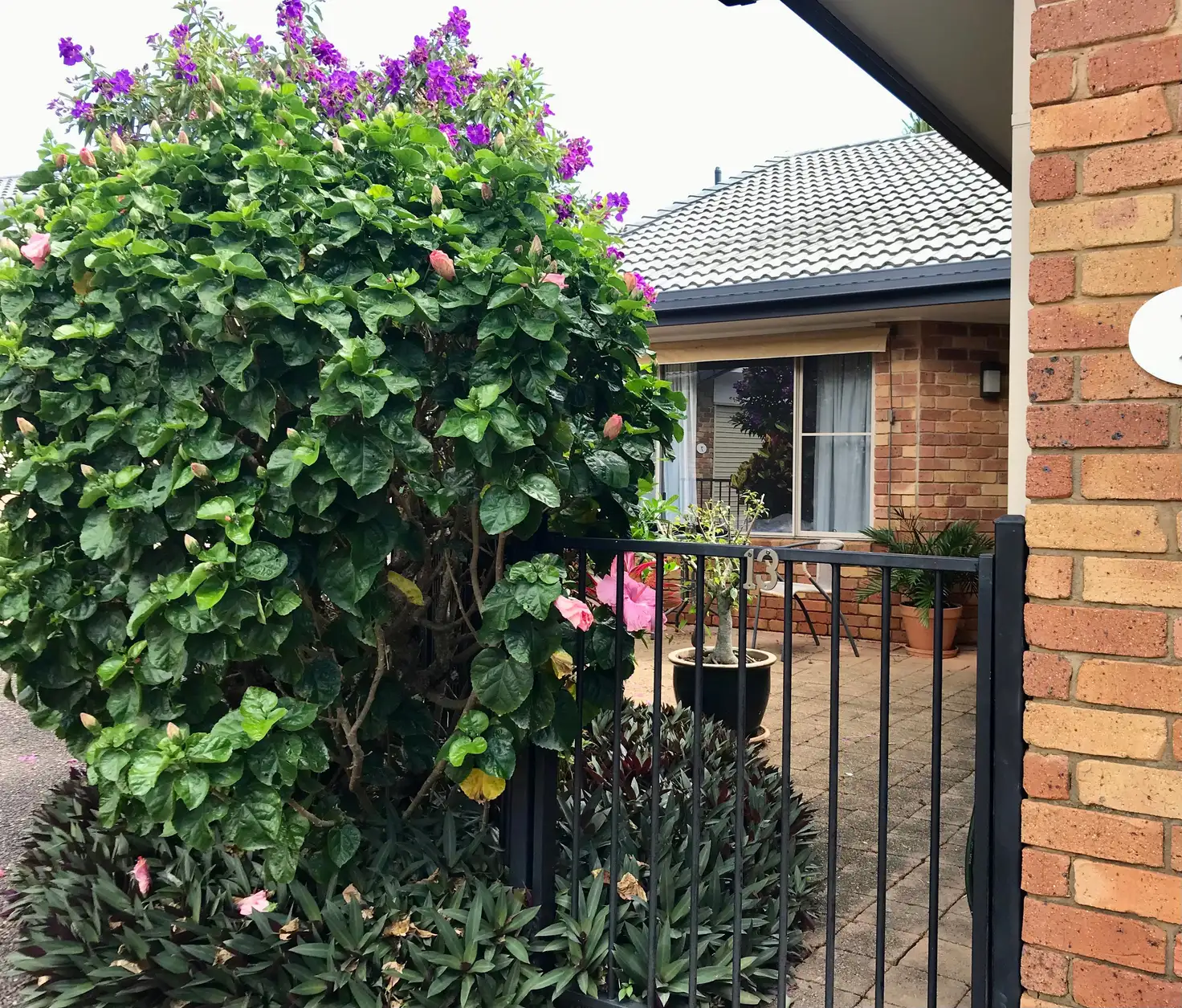 Main view of Homely unit listing, Address available on request