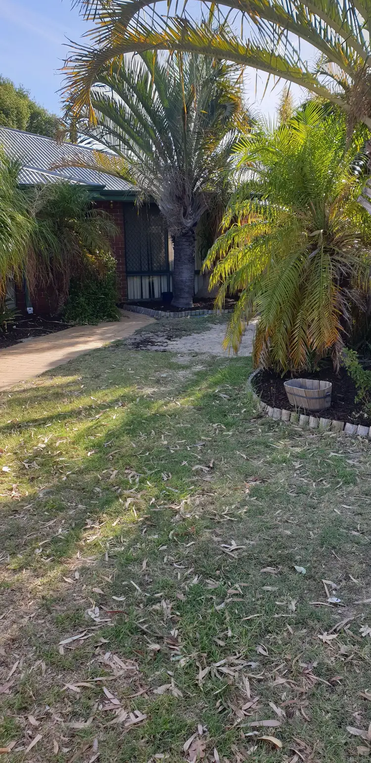 Main view of Homely house listing, 66 POAD STREET, Seville Grove WA 6112