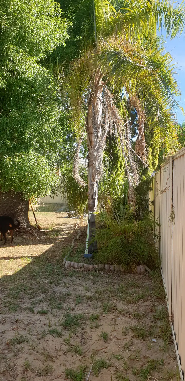 Fourth view of Homely house listing, 66 POAD STREET, Seville Grove WA 6112