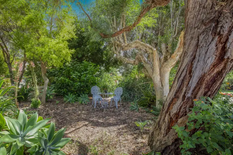 Main view of Homely semi-detached listing, 19B PENDINE STREET, Carine WA 6020