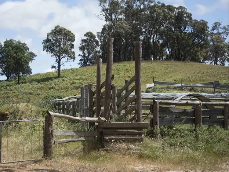 Seventh view of Homely rural property listing, 390 Kangaroo Track, Cassilis VIC 3898