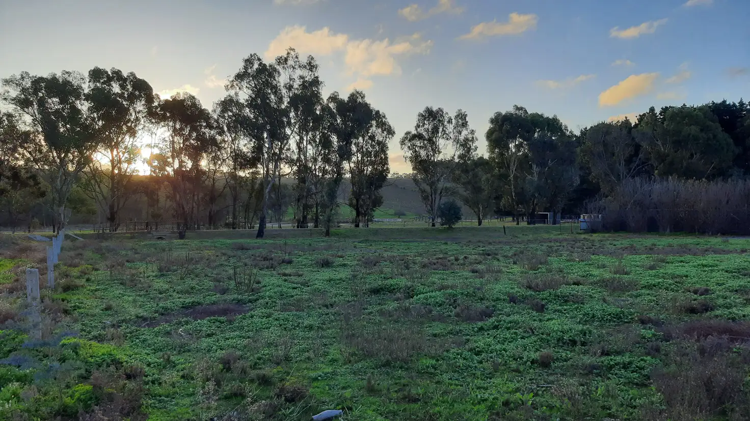 Main view of Homely land listing, 139 ONKAPARINGA VALLEY ROAD, Woodside SA 5244