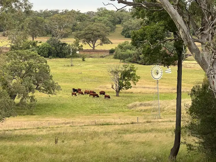 Third view of Homely rural property listing, 81 BARKLA ROAD, Wellcamp QLD 4350