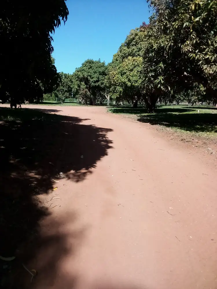 Third view of Homely rural property listing, 40 MAYWOOD ROAD, Kingsford WA 6701