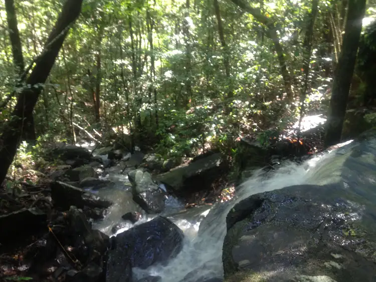 Third view of Homely rural property listing, 185 TOWEN MOUNT ROAD, Towen Mountain QLD 4560