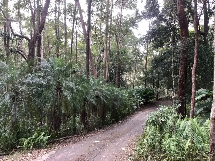 Fifth view of Homely rural property listing, 185 TOWEN MOUNT ROAD, Towen Mountain QLD 4560