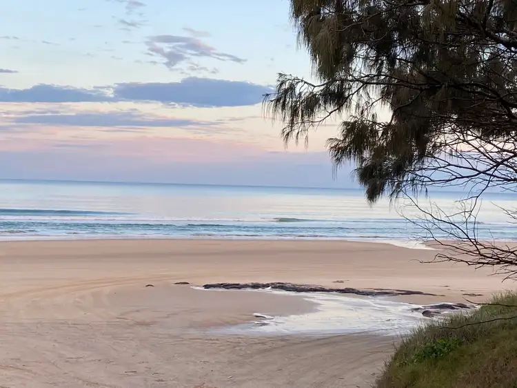 Main view of Homely house listing, 55 MACKEREL STREET, Noosa North Shore QLD 4565