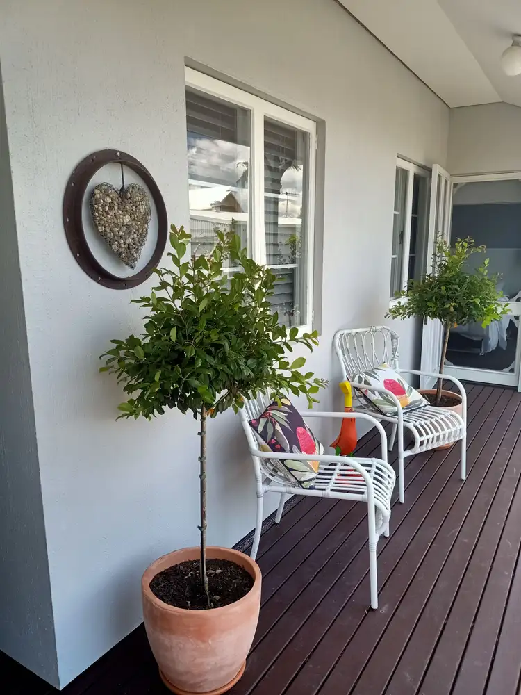 Sixth view of Homely house listing, 16 LORIKEET AVENUE, Woodgate QLD 4660