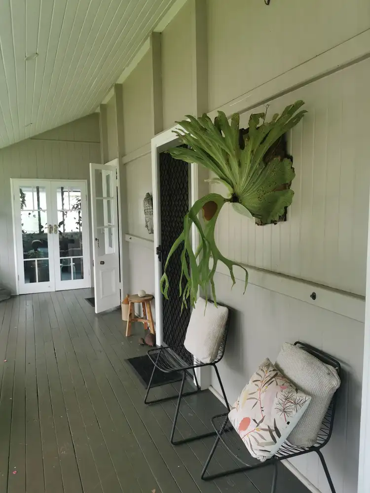 Third view of Homely house listing, 31 CATHERINE STREET, Malanda QLD 4885