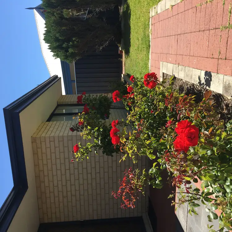 4 YORLOR WAY, Quinns Rocks WA 6030