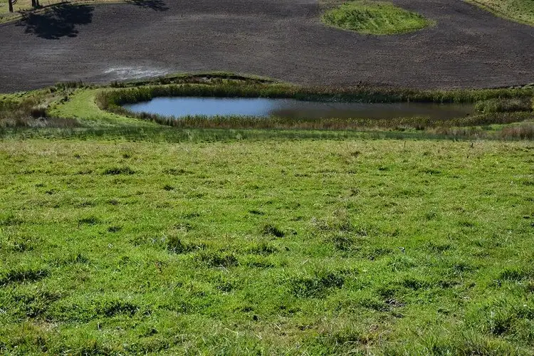 Sixth view of Homely land listing, Lot 3 Hills Road, Gray TAS 7215