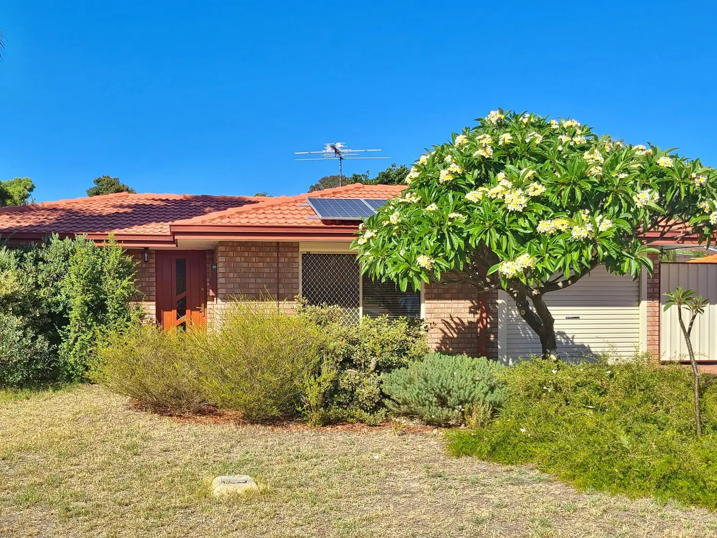 Main view of Homely house listing, 37 WILLSHIRE WAY, Yangebup WA 6164