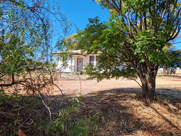 Third view of Homely house listing, 6 GEORGE STREET, Peterborough SA 5422