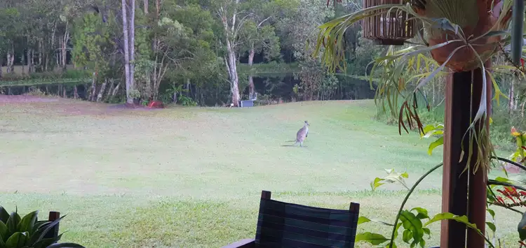 Fourth view of Homely house listing, 44 BUZAKI ROAD, Glass House Mountains QLD 4518