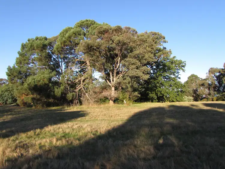 Third view of Homely land listing, 1 ARTHUR STREET, Taradale VIC 3447