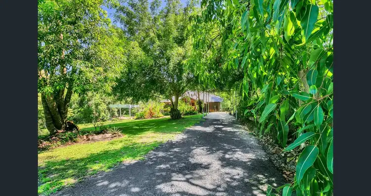 Seventh view of Homely house listing, 11 FALLON ROAD, Kuranda QLD 4881